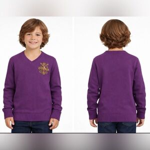 Ralph Lauren Sport V-Neck Purple Sweater with Emblem Youth Large or Petite adult